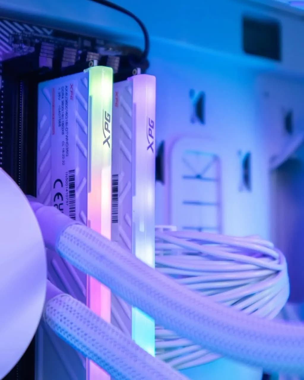 Ryzen 5 5600 · Gigabyte RTX 5060 Ti thumbnail 5